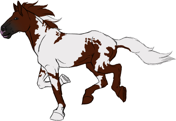 DeviantArt: More Like Horse galloping ANIMATION by BloodStainedSilk