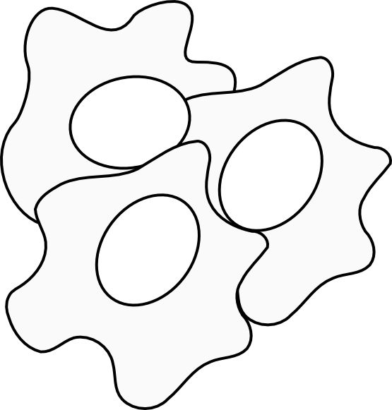 Fried Egg Black And White ClipArt Best