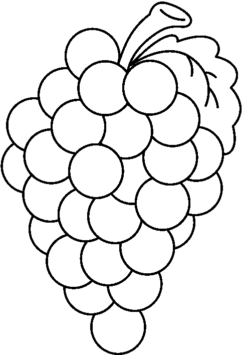 Grapes Drawing | Free Download Clip Art | Free Clip Art | on ...