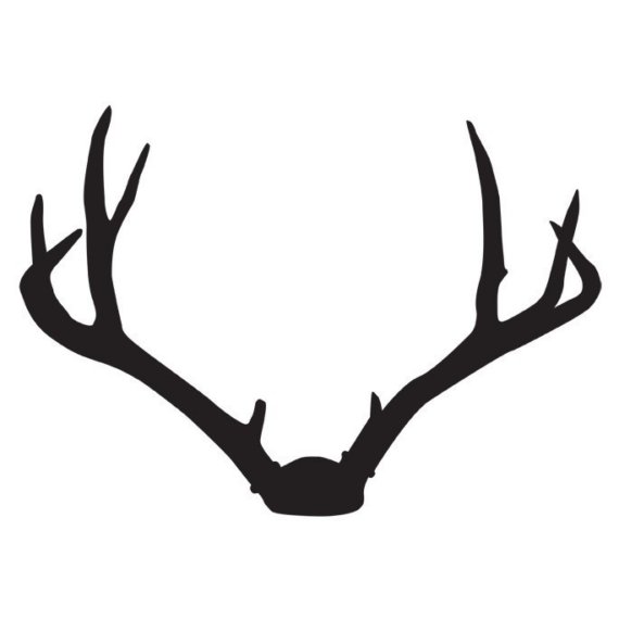 Free clipart deer antlers