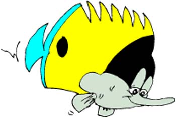 Funny Cartoon Fish