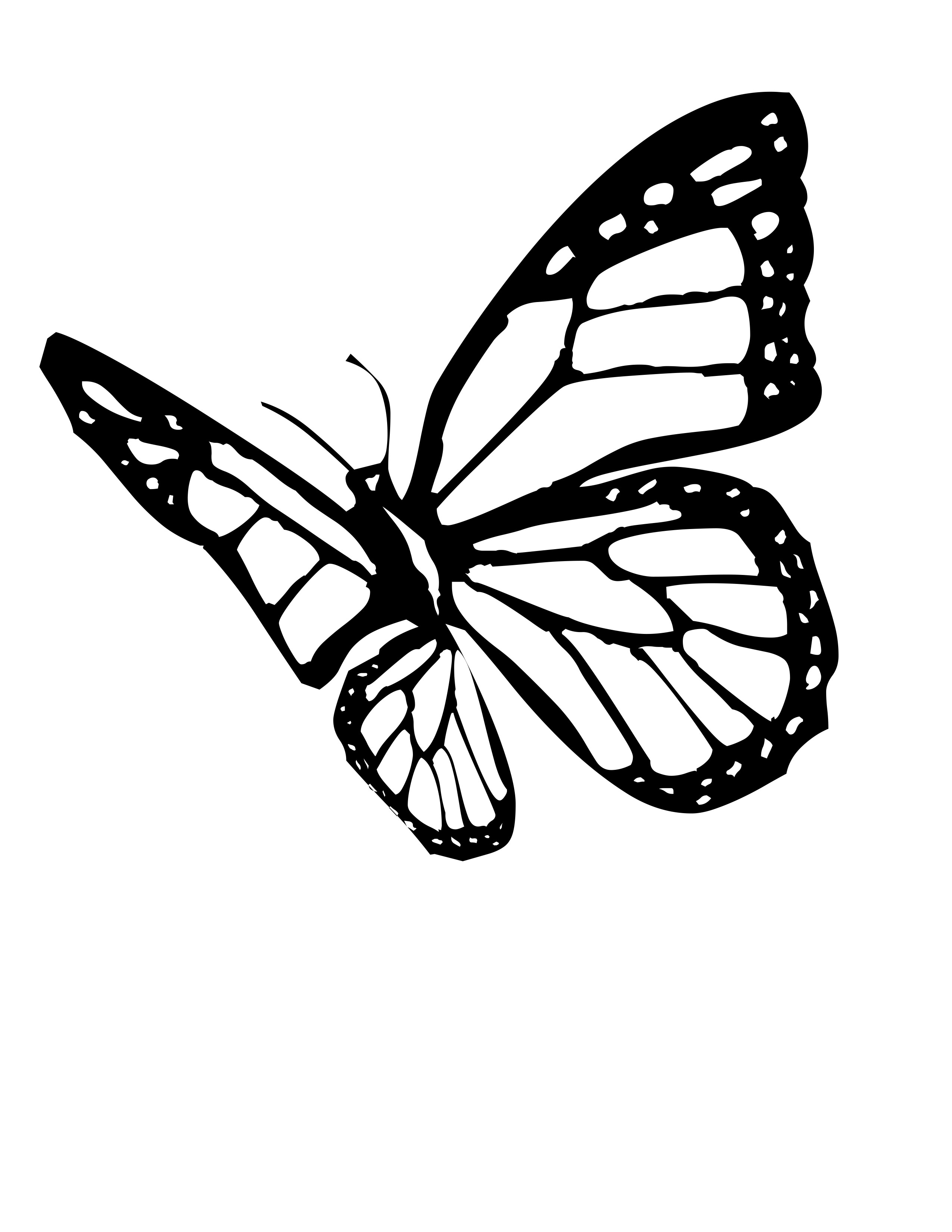 1000+ images about black monarch butterfly tattoos
