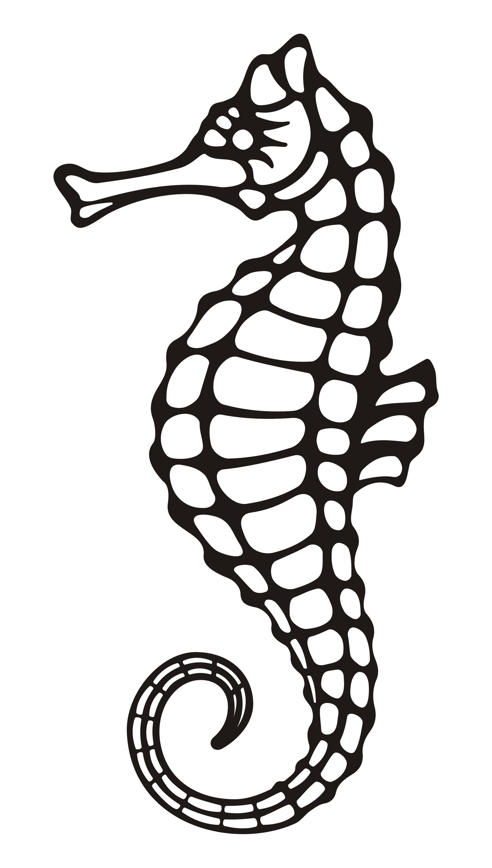 Sea Horse Outline