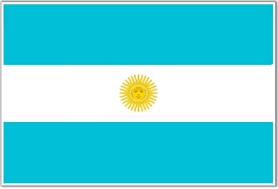 Flags, Argentina and Google