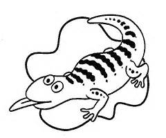 Lizard Drawing Template 97216 | RAMWEB