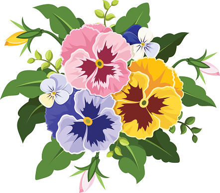 Pansy Clip Art, Vector Images & Illustrations