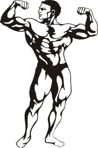 Muscle man clipart