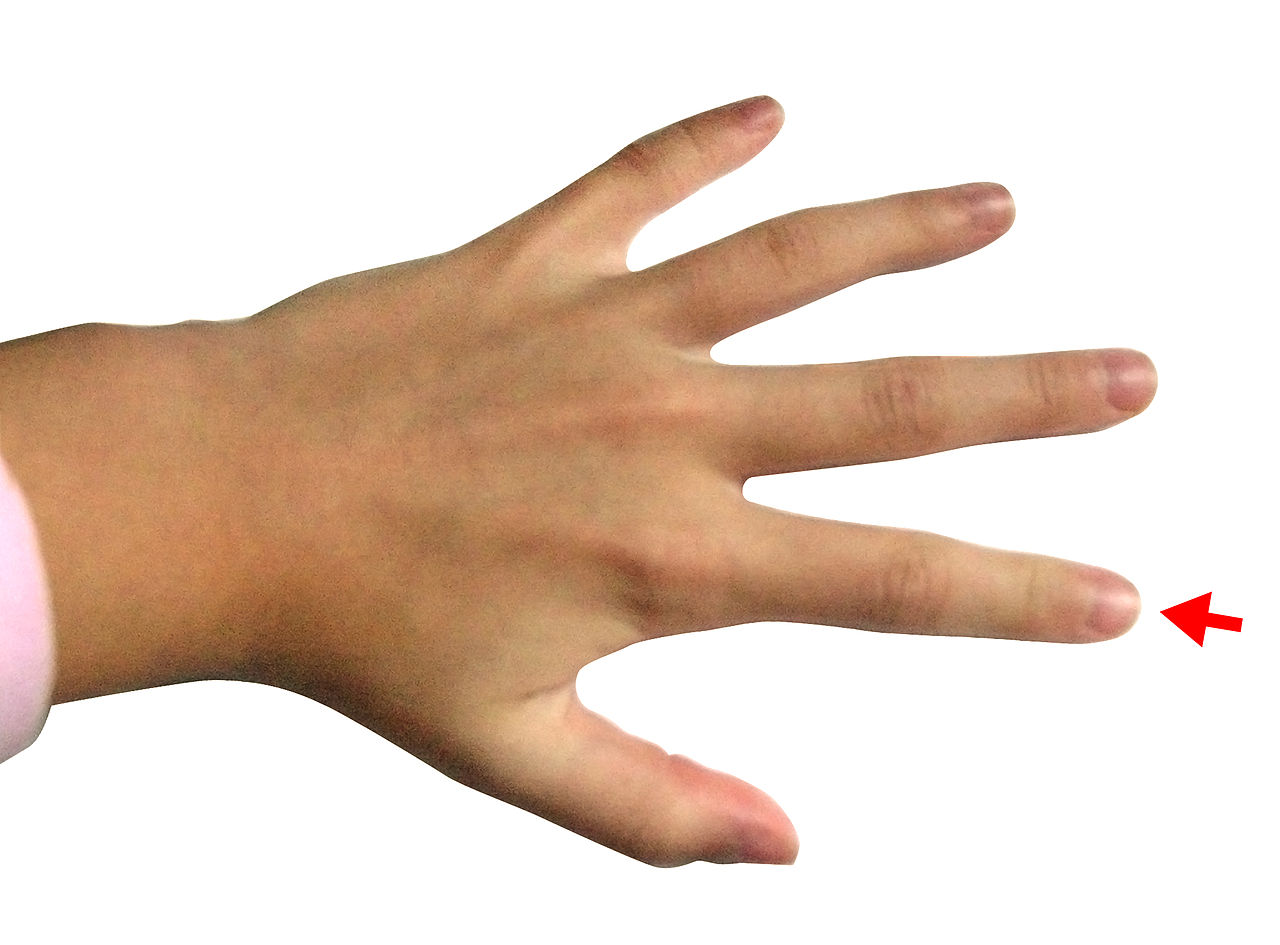 Picture Of Index Finger ClipArt Best