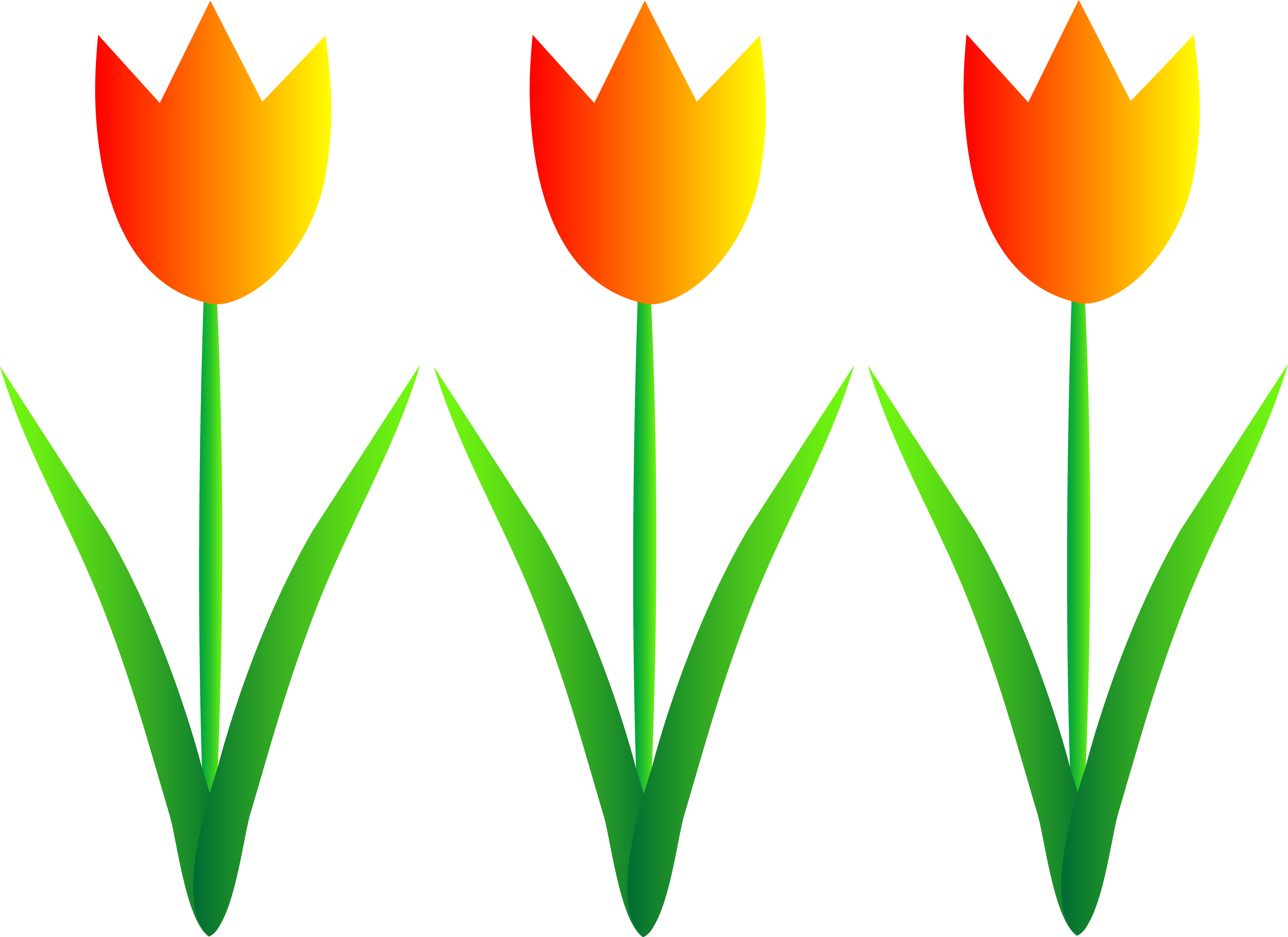 Three Colorful Spring Tulips Free Clip Art Downloads Images ...