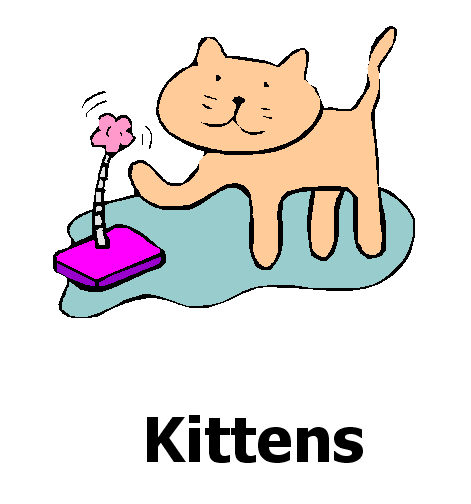 kittens-1.gif