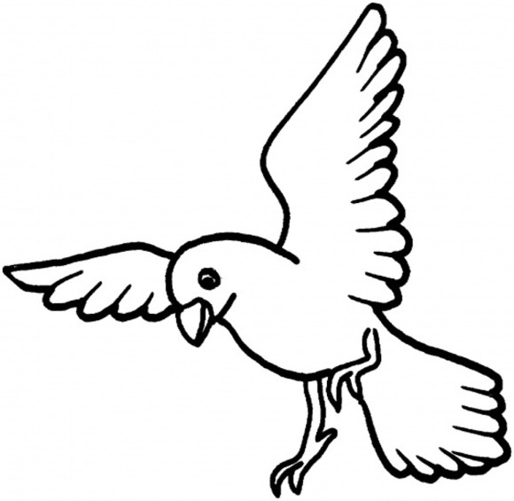 Dove Bird Coloring Page - Animal Coloring pages of PagesToColor.