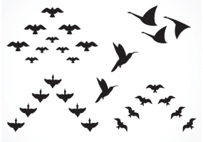 Flock of birds vector free vector graphic art free download (found ...