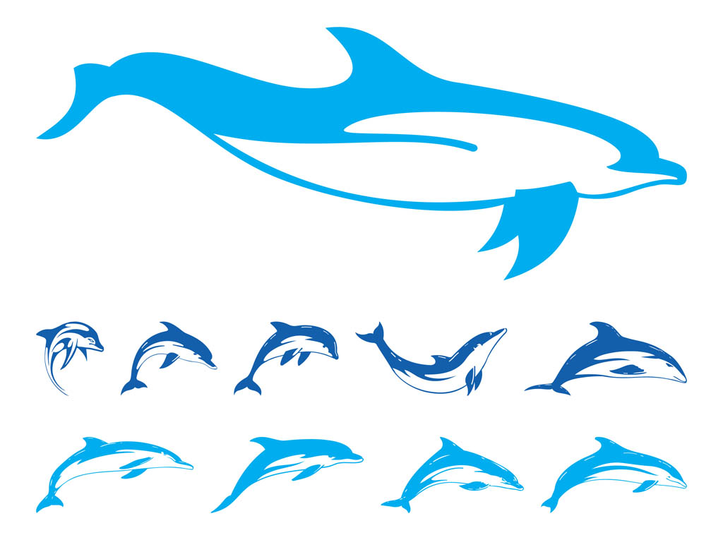 Pics Of Dolphin | Free Download Clip Art | Free Clip Art | on ...