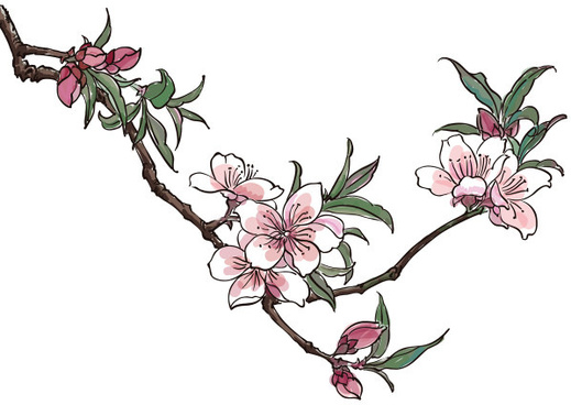 Blossom free vector download (502 Free vector) for commercial use ...