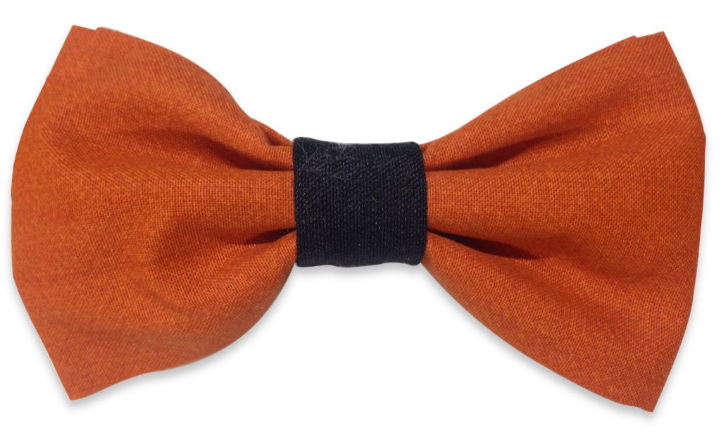Orange & Black Bow Tie â?? BowTieTrends.com