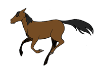 1000+ images about horse drawing / animation gif