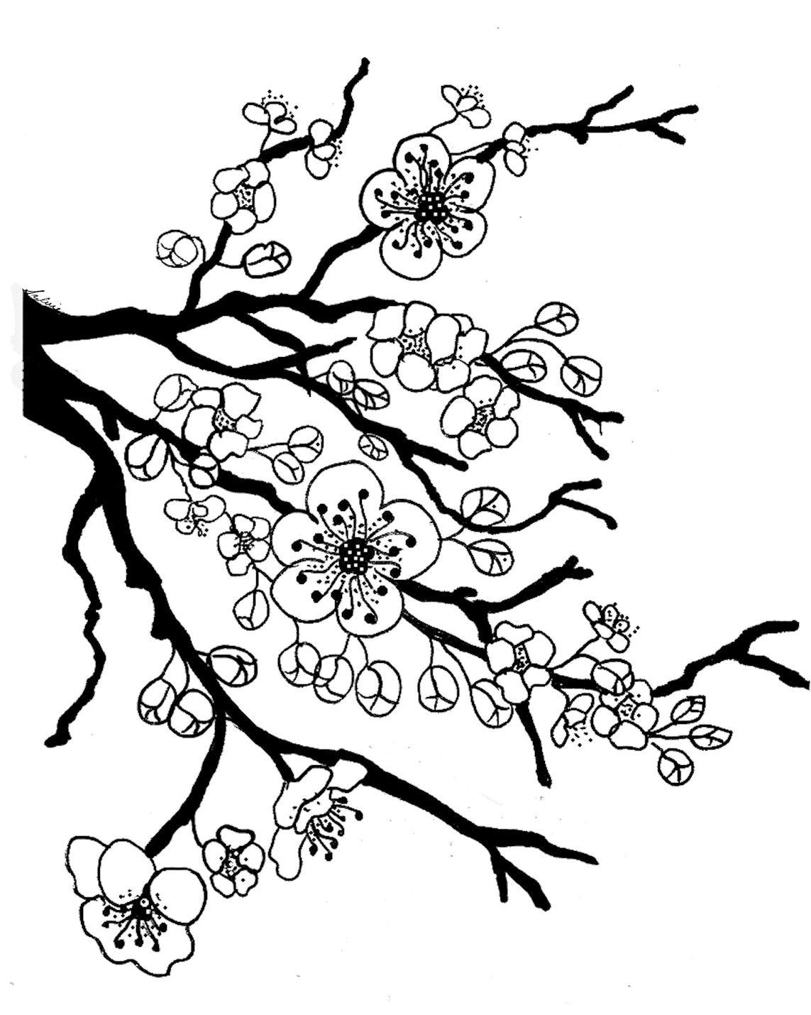 Cherry blossom clipart black and white