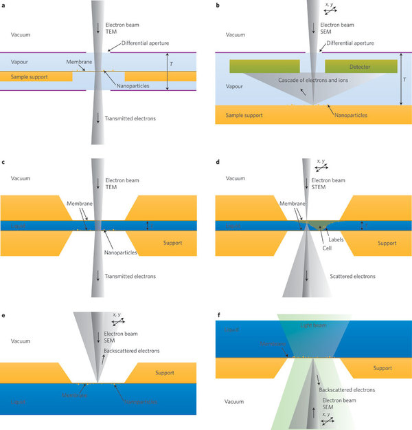 download Essentials of Nonlinear