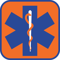 Star Of Life Orangeâ?¢ logo vector - Download in AI vector format