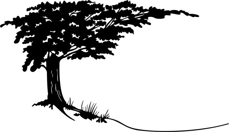 clipart trees black and white free - photo #39