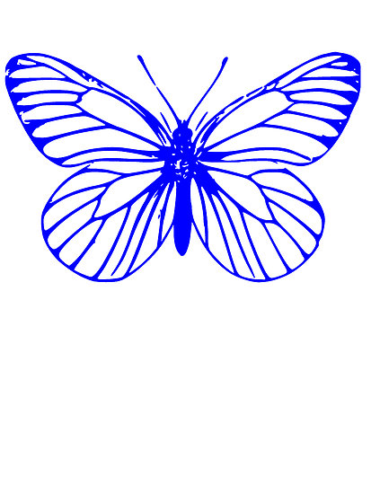 Blue Butterfly Drawing" by kwg2200 | Redbubble
