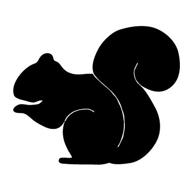 Avalisa Silhouette - Squirrel Stretched Wall Art