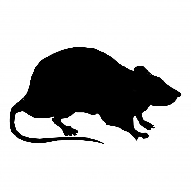 Rat Silhouette Clip Art