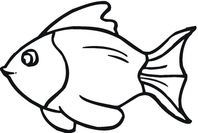 Fish Outline Printable Clipart - Free to use Clip Art Resource