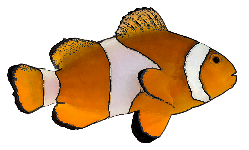 clip art fish moving - photo #1