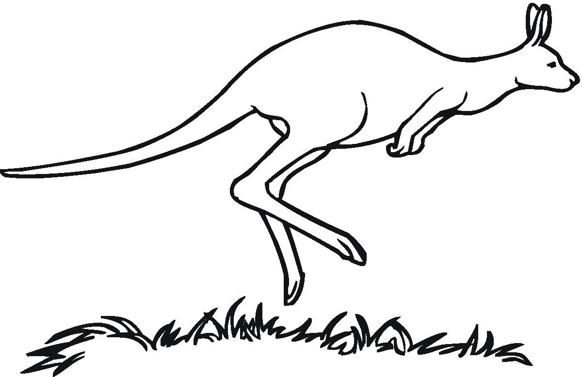 kangaroo drawings clip art - photo #27