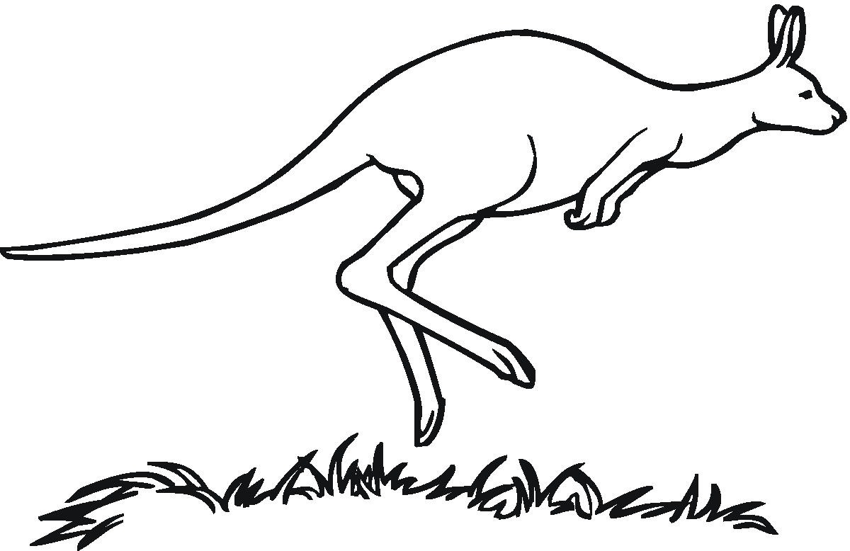 kangaroo outline clip art - photo #30