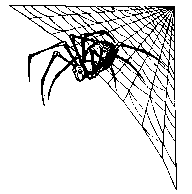 Spider Web Corner