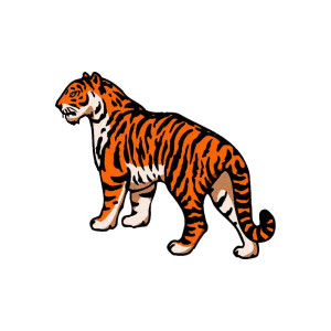 Free clipart of a tiger