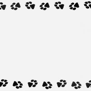 Best Dog Paw Print Tracks Clip Art Picture | ClipArTidy