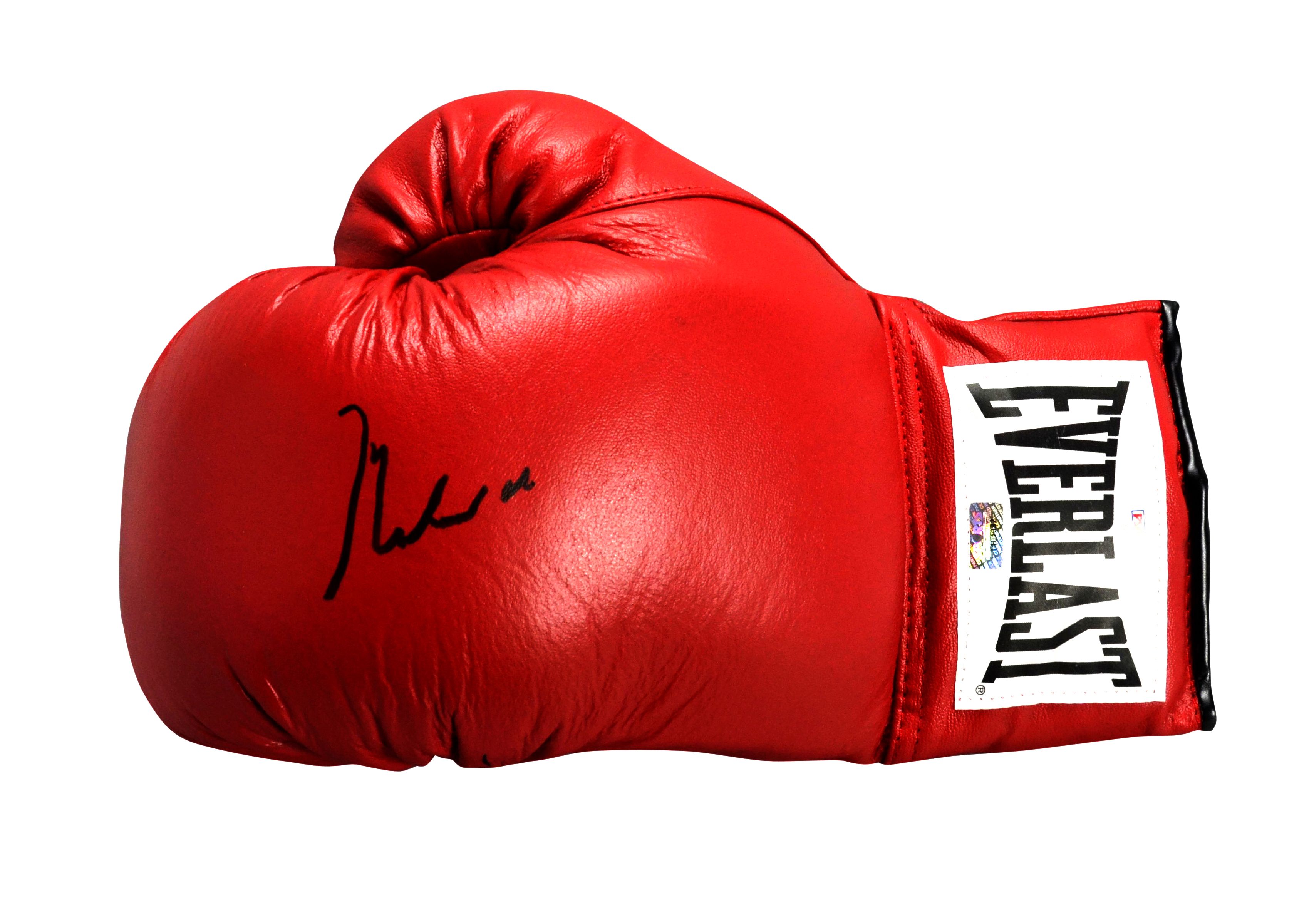 Boxing Gloves Clipart