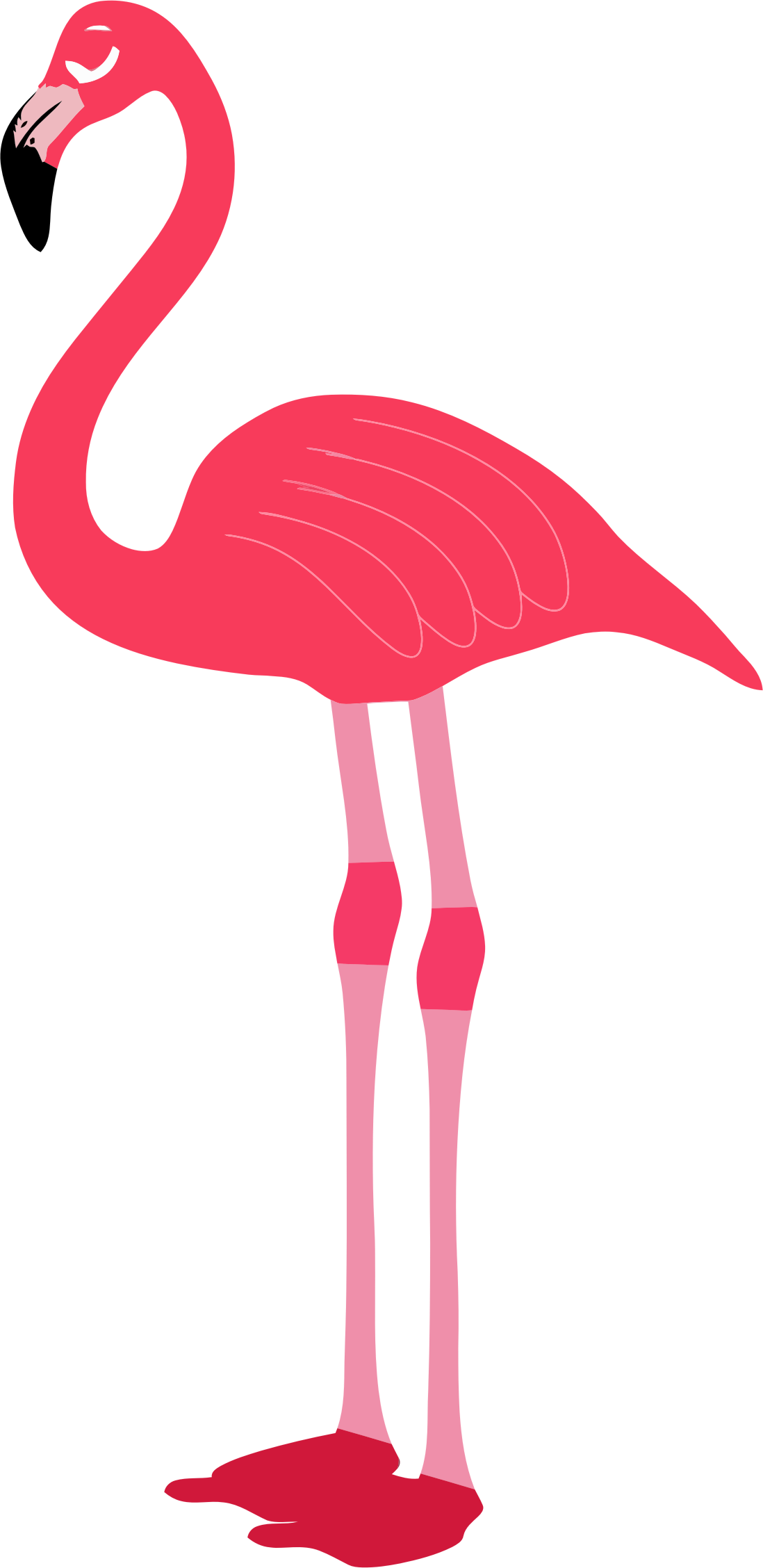 Pink flamingo bird clipart free stock photo public domain pictures ...