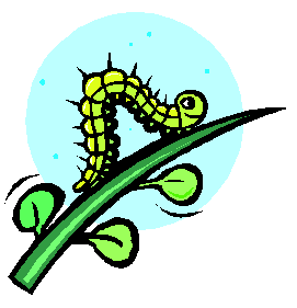 Inch Worm Clipart