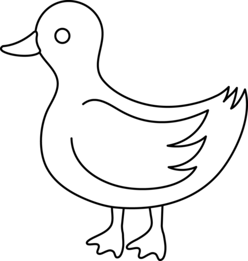 Duck Outline Black And White Clipart - Free to use Clip Art Resource