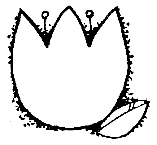 566 views Black and white tulip clipart