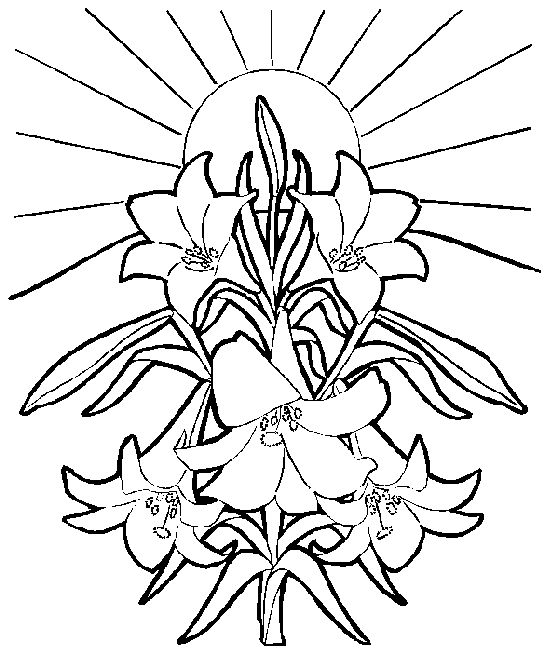 Easter lilies clipart