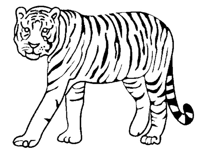 60+ Tiger Shape Templates, Crafts & Colouring Pages | Free ...
