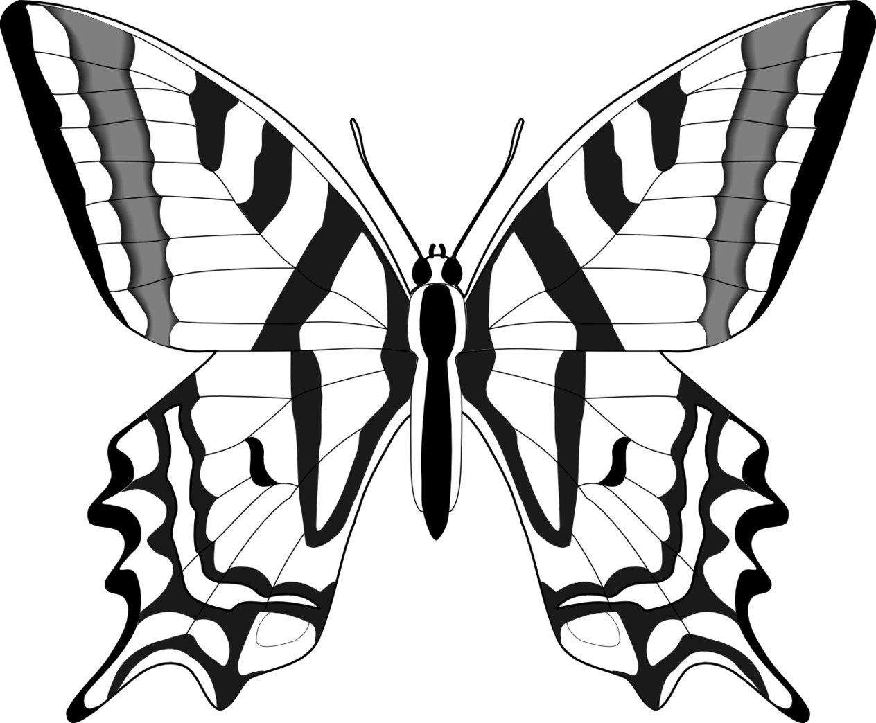 Butterfly Line Drawing Clipart - Free to use Clip Art Resource
