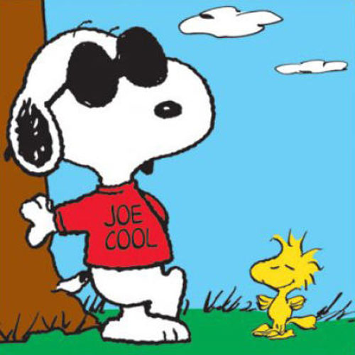 1000+ images about Snoopy as Joe Cool | Other, Happy ...