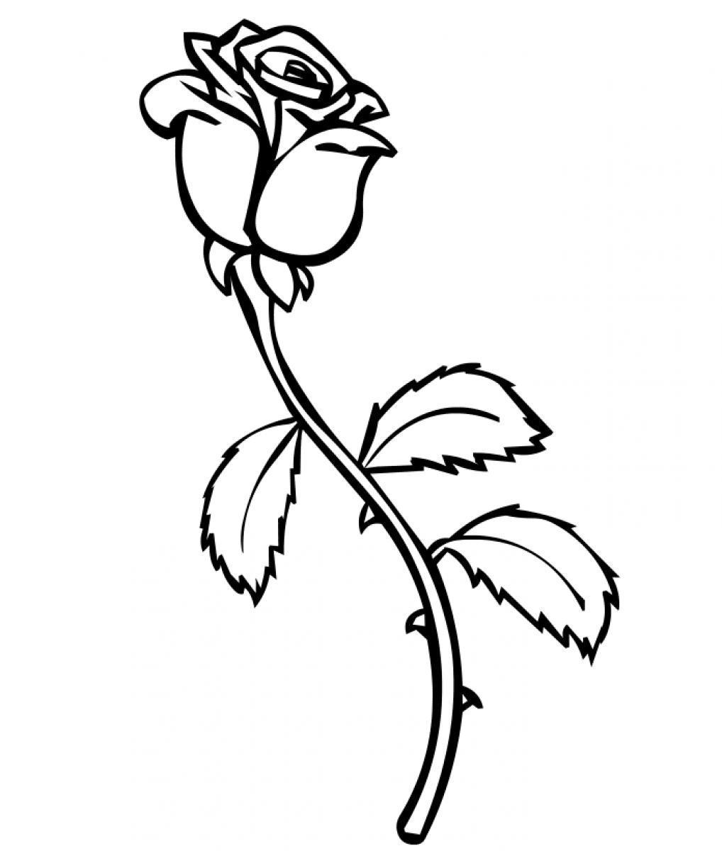 Rose Coloring Sheets. summer rose coloring sheets for kids. hearts ...