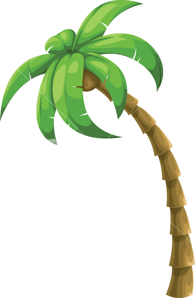 Palm Tree Royalty-Free Vectors, Illustrations and Photos