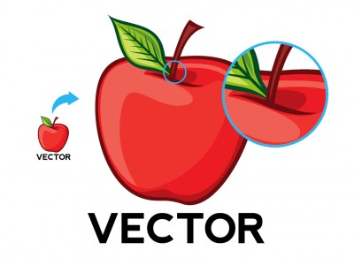 Why you should use vector graphics over bitmap images