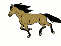 Running Horse Animation by IceandSnow on DeviantArt
