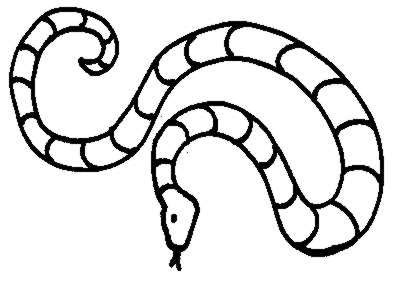 Snake Clipart Black And White - 44 cliparts