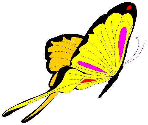 Animated Butterfly Flying - ClipArt Best