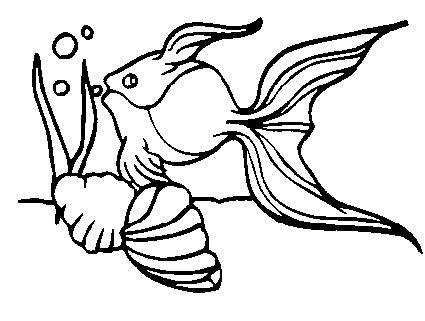 40 Fish Coloring Pages | Free Coloring Page Site